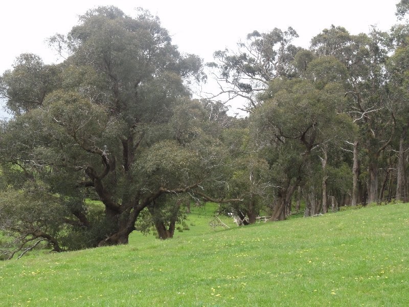 . Law Rd, Foster VIC 3960