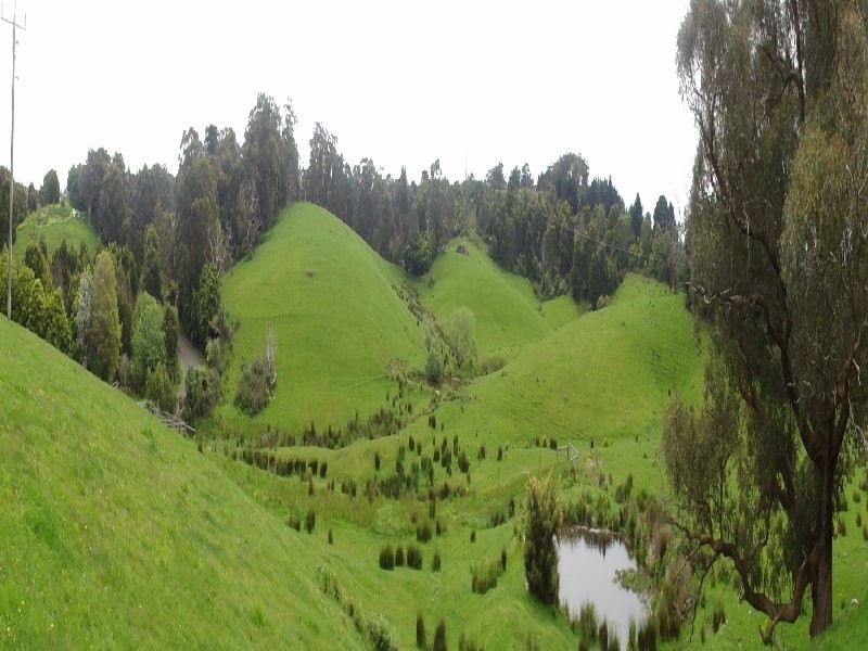 . Law Rd, Foster VIC 3960