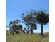 75 Fitzgeralds Road, Poowong VIC 3988
