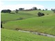 141 Chute Road, Thorpdale VIC 3835