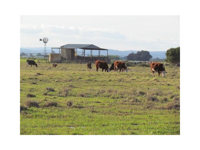 3/290 Temby Road, Iona VIC 3815