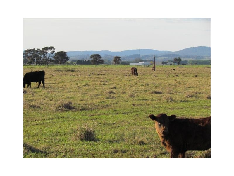 3/290 Temby Road, Iona VIC 3815