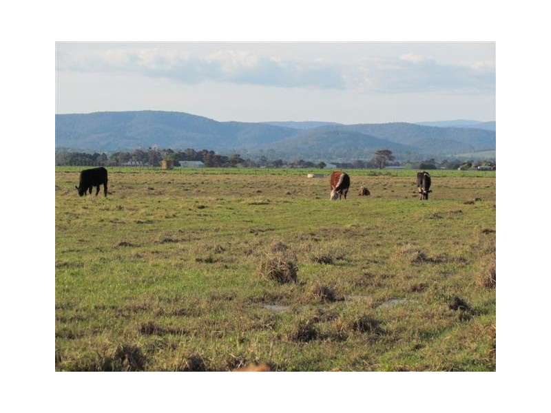 3/290 Temby Road, Iona VIC 3815