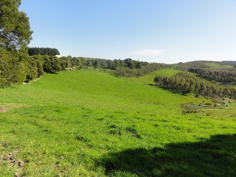 190 Foster Mirboo Rd, Foster VIC 3960