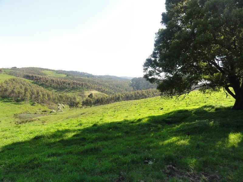 190 Foster Mirboo Rd, Foster VIC 3960