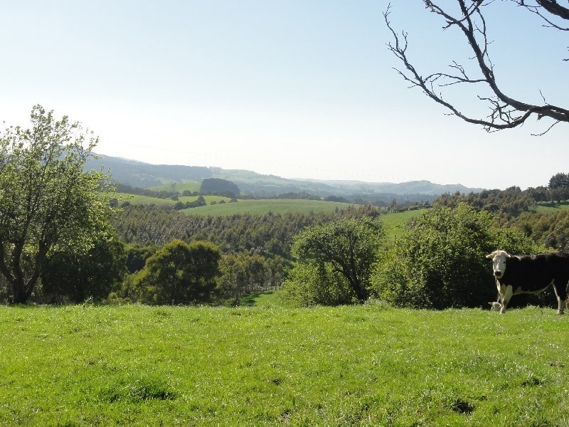 190 Foster Mirboo Rd, Foster VIC 3960