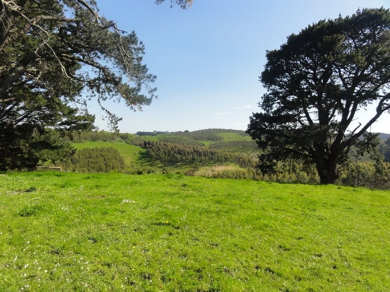 190 Foster Mirboo Rd, Foster VIC 3960