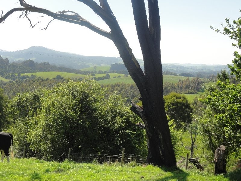 190 Foster Mirboo Rd, Foster VIC 3960