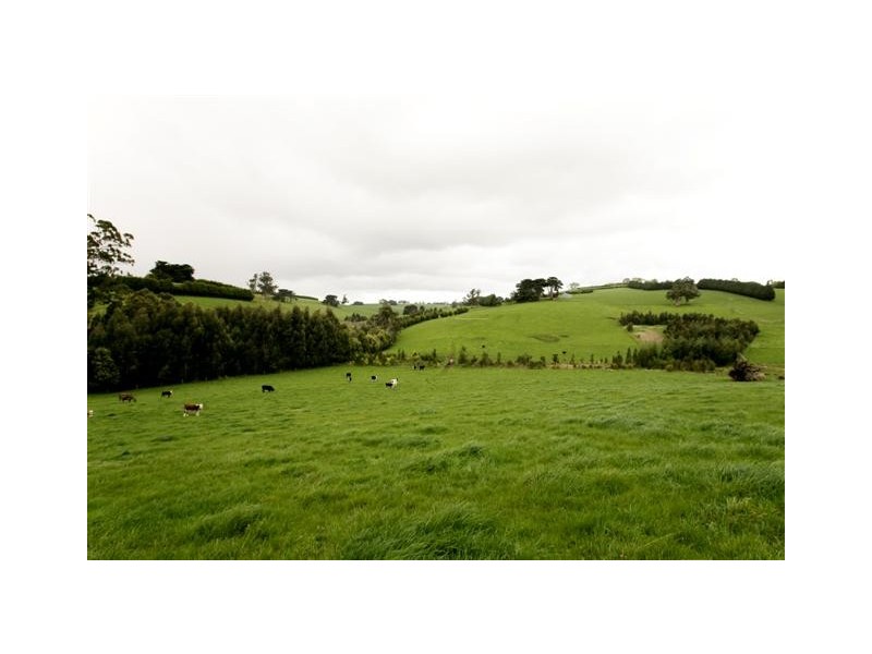 2083 Main Neerim Road, Neerim South VIC 3831