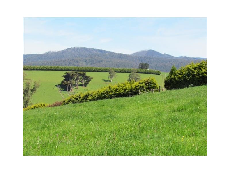 2083 Main Neerim Road, Neerim South VIC 3831