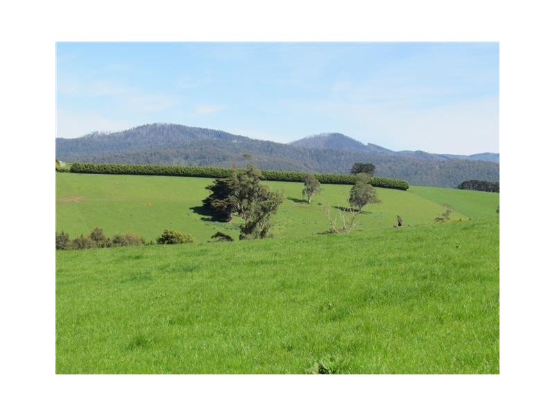 2083 Main Neerim Road, Neerim South VIC 3831