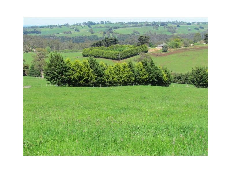 2083 Main Neerim Road, Neerim South VIC 3831