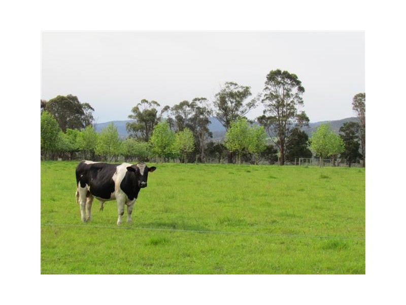 315 Fisher Road, Drouin West VIC 3818
