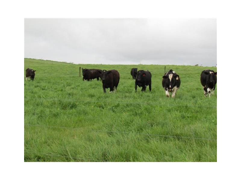 91 A R Gardner Road, Longwarry VIC 3816