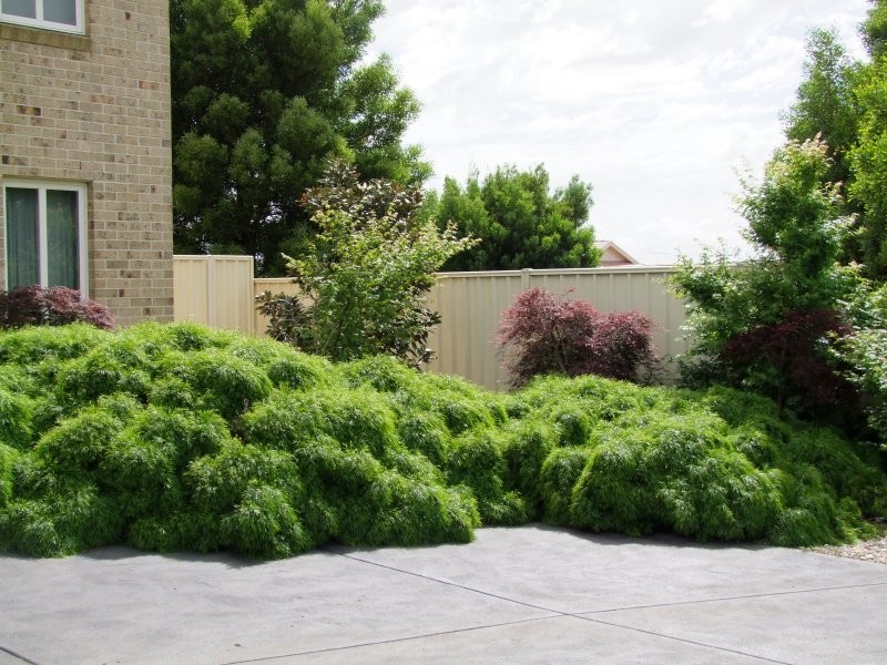 25 Parkside Close, Leongatha VIC 3953