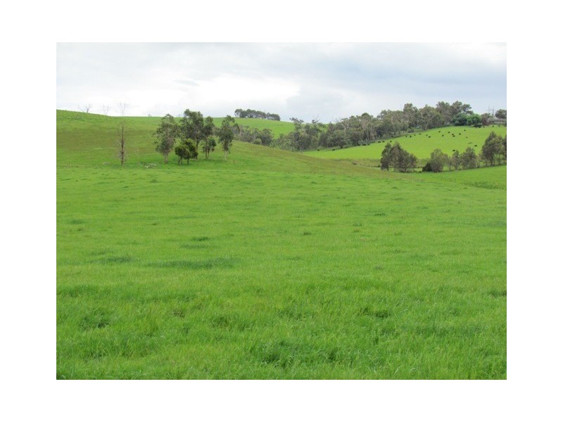 202 Ranch Road, Tanjil South VIC 3825