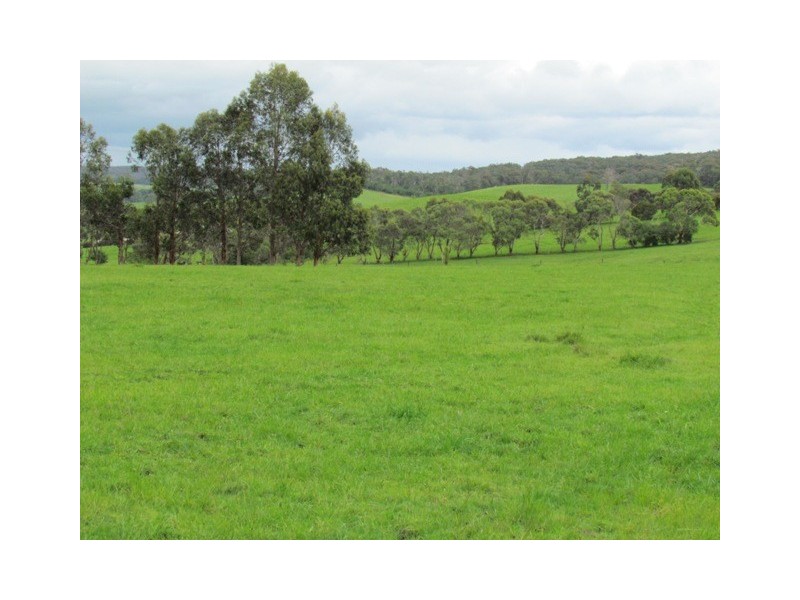 202 Ranch Road, Tanjil South VIC 3825