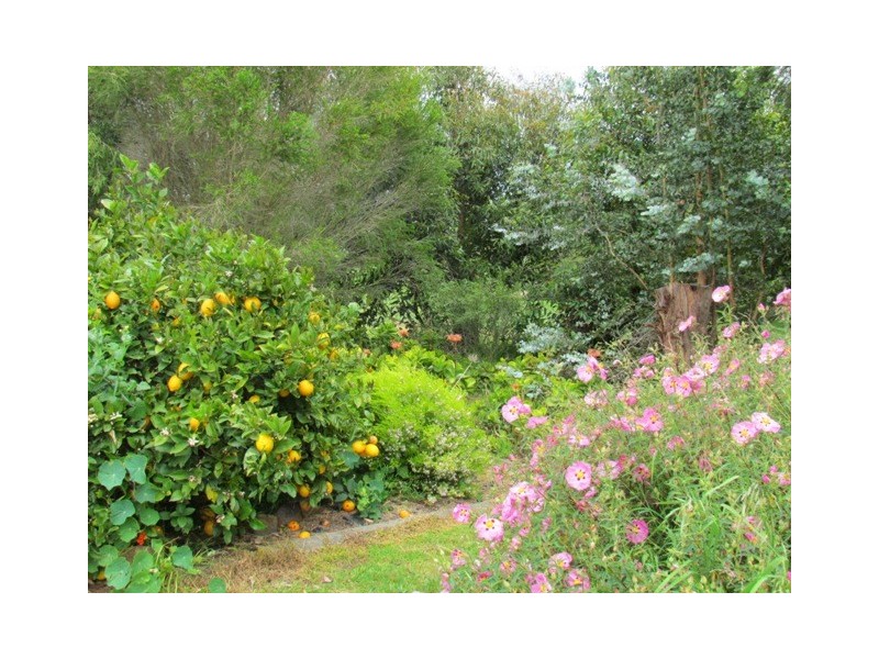 202 Ranch Road, Tanjil South VIC 3825