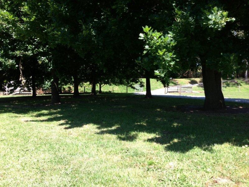 9 Myers Road, Drouin VIC 3818