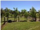9 Myers Road, Drouin VIC 3818