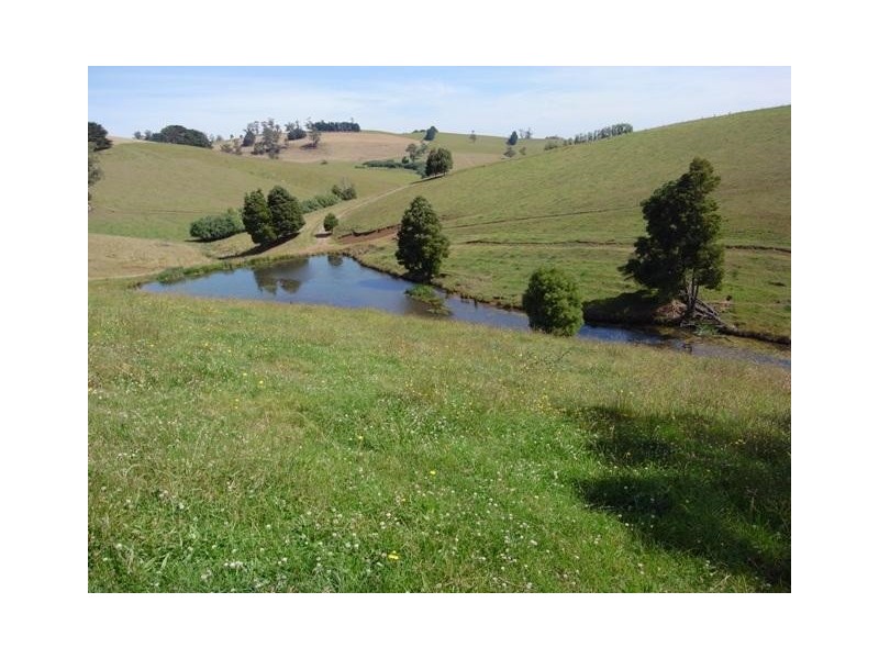 1035 Neerim East Road, Neerim East VIC 3831