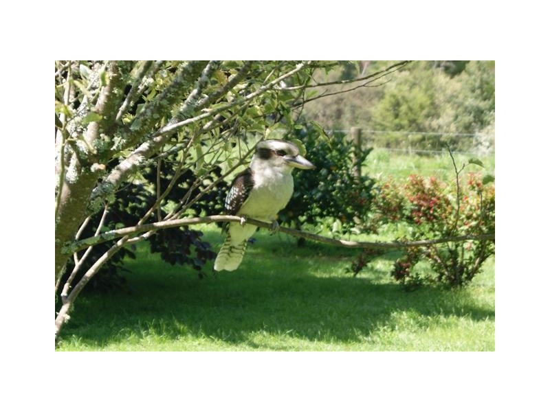 238 Rusks Road, Erica VIC 3825