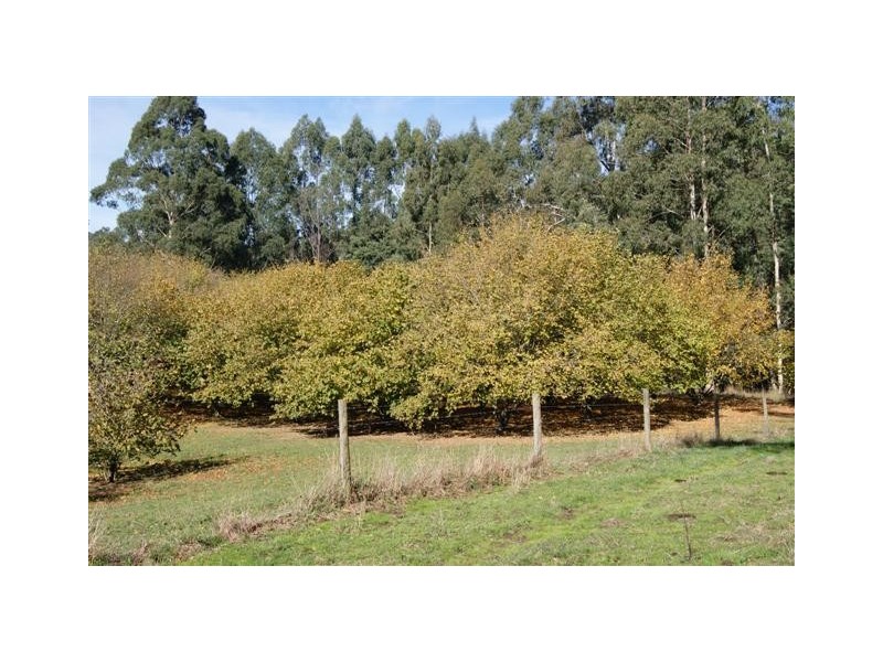 238 Rusks Road, Erica VIC 3825