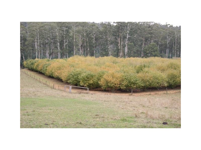 238 Rusks Road, Erica VIC 3825