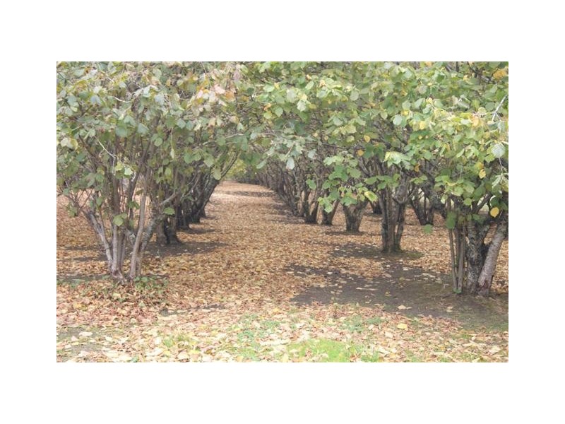 238 Rusks Road, Erica VIC 3825