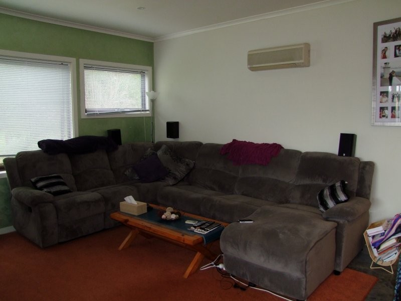 Buffalo VIC 3958