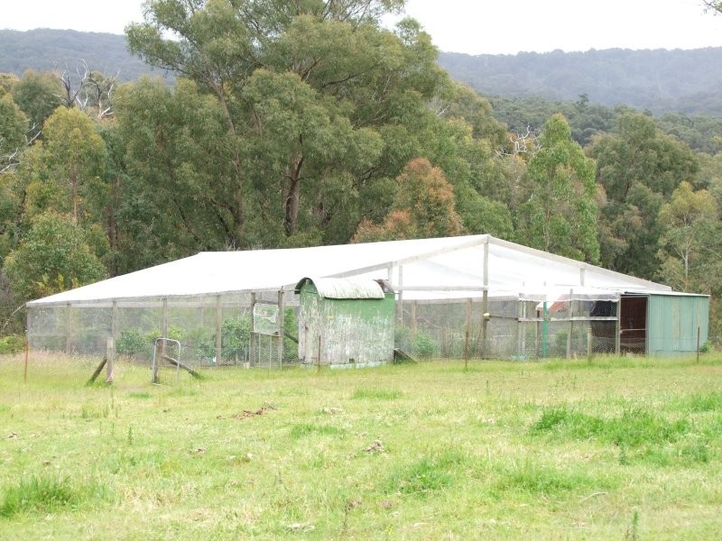 3 Cuthbertson Court, Mirboo North VIC 3871