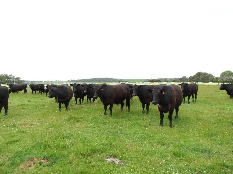 170 Frys Road, Leongatha South VIC 3953