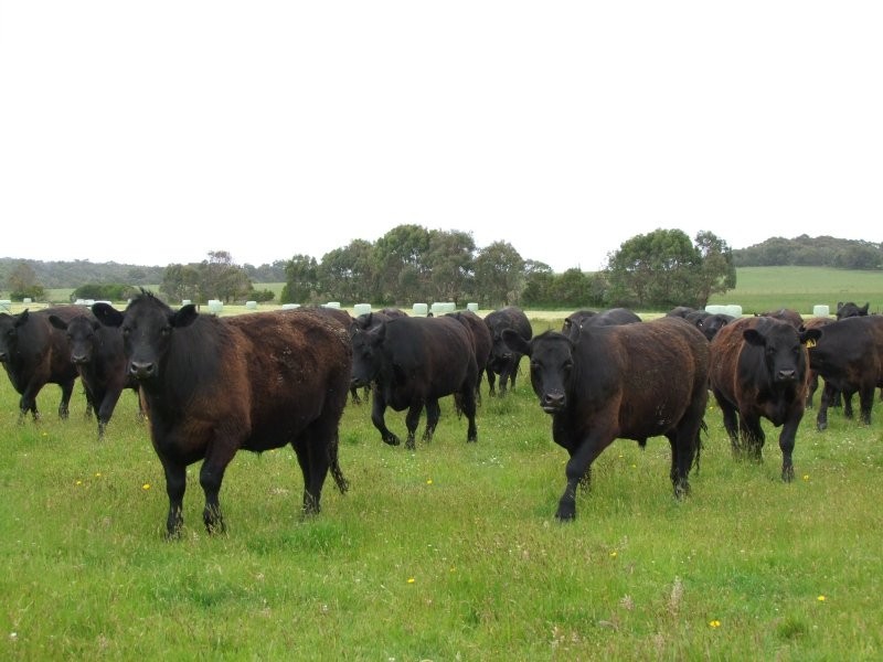 170 Frys Road, Leongatha South VIC 3953