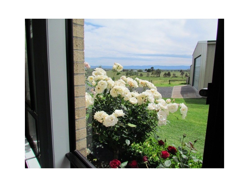 387 Costers Road, Ripplebrook VIC 3818