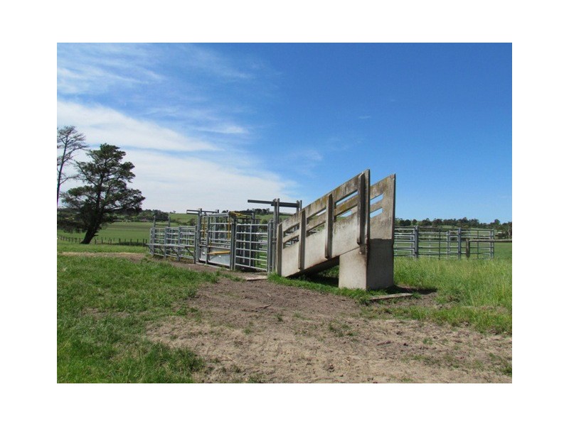 387 Costers Road, Ripplebrook VIC 3818