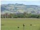 359 Little Moe River Road, Yarragon VIC 3823