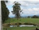 478 Mizpah Settlement Road, Buln Buln VIC 3821