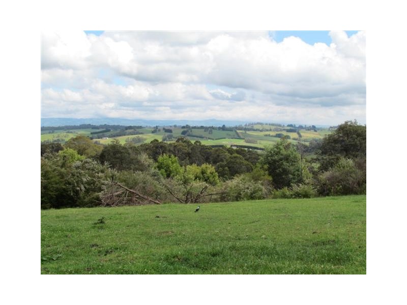 478 Mizpah Settlement Road, Buln Buln VIC 3821
