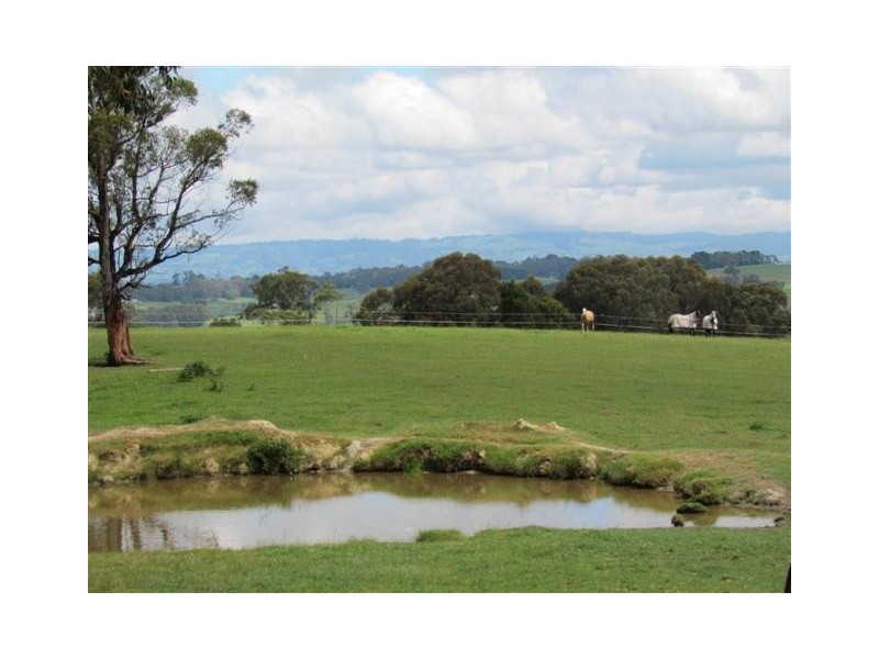 478 Mizpah Settlement Road, Buln Buln VIC 3821