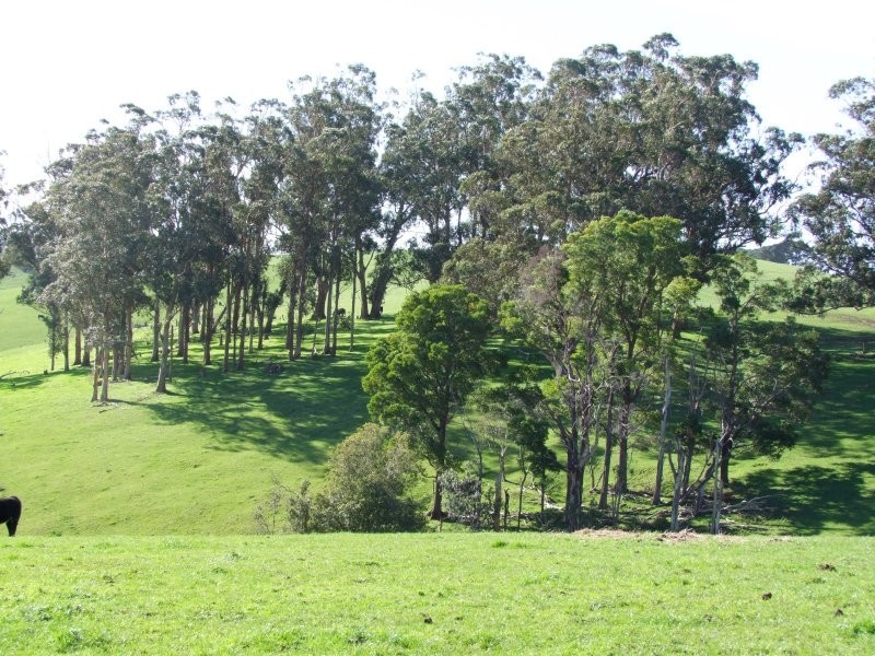 . Holmes Road, Mardan VIC 3953