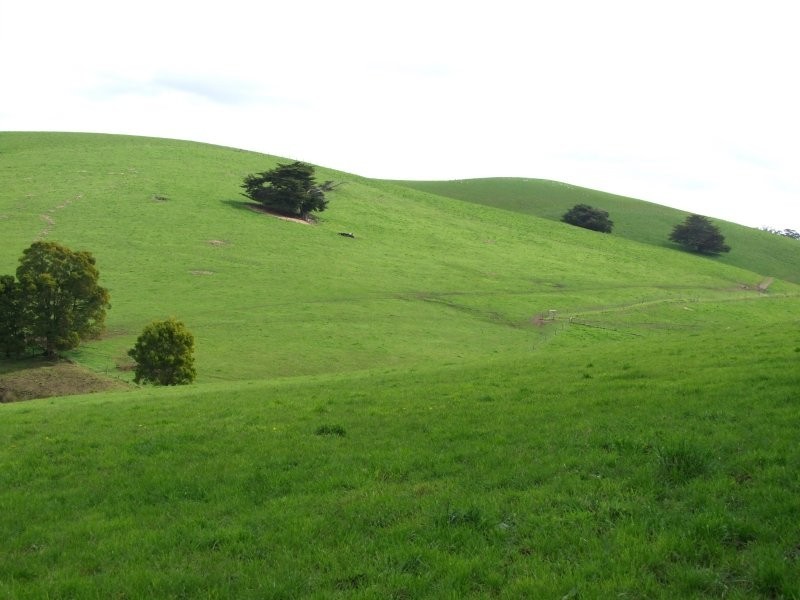 . Holmes Road, Mardan VIC 3953