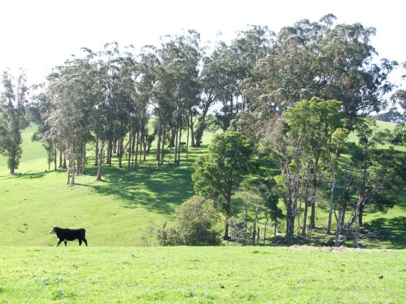 . Holmes Road, Mardan VIC 3953