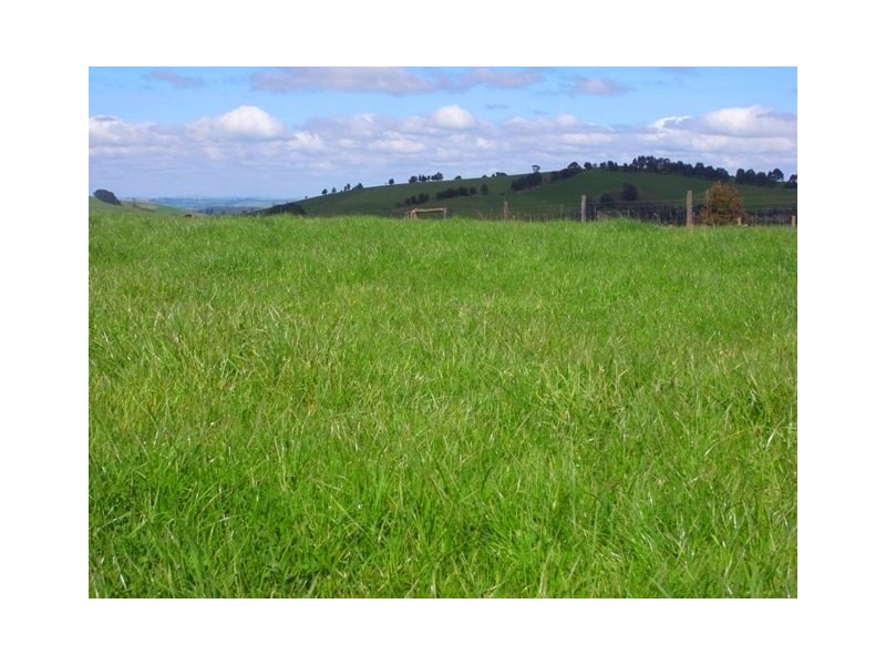 49 Childers-Connection Road, Childers VIC 3824