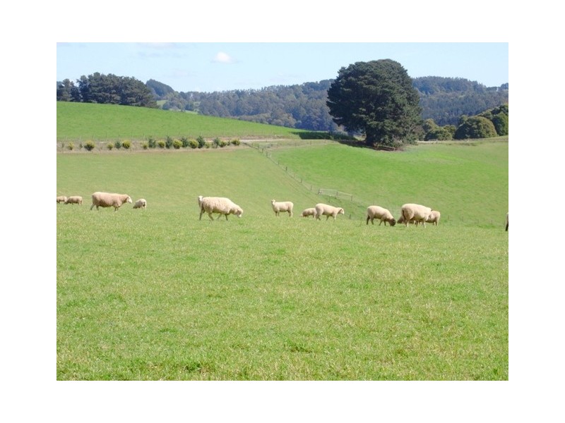 49 Childers-Connection Road, Childers VIC 3824