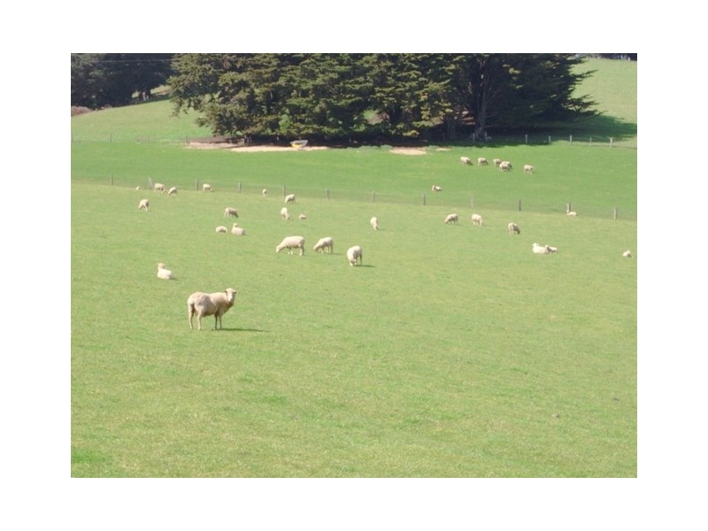 49 Childers-Connection Road, Childers VIC 3824