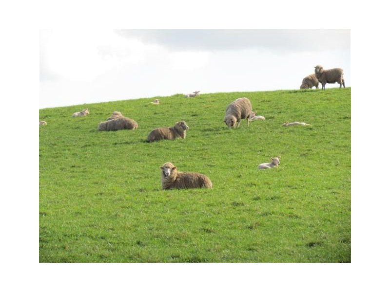 49 Childers-Connection Road, Childers VIC 3824