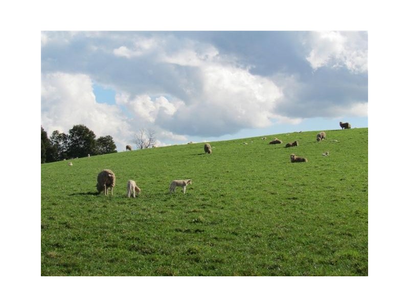 49 Childers-Connection Road, Childers VIC 3824