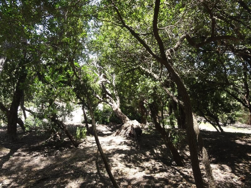 75 Harbour View, Sandy Point VIC 3959