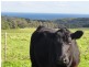 240 Cape Liptrap Rd, Walkerville VIC 3956