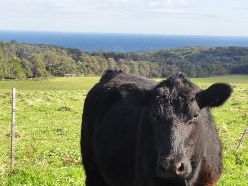 240 Cape Liptrap Rd, Walkerville VIC 3956